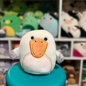 Deniz the pelican squishville!